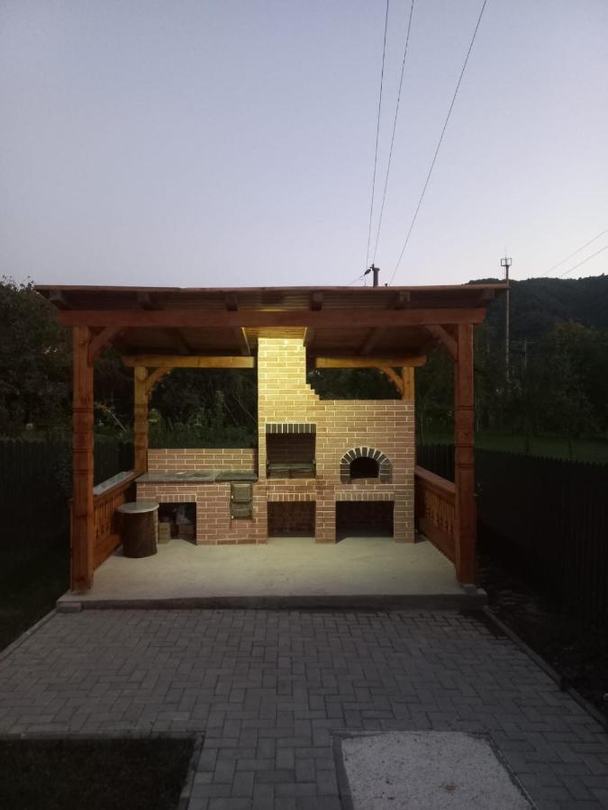 Willa Casa Edy Vişeu de Sus Zewnętrze zdjęcie