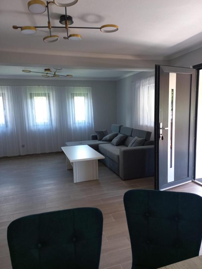 Willa Casa Edy Vişeu de Sus Zewnętrze zdjęcie